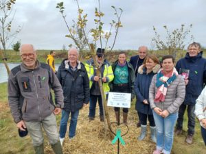 plantation arbre de vie à Grâce au jardin Tremblay les Villages